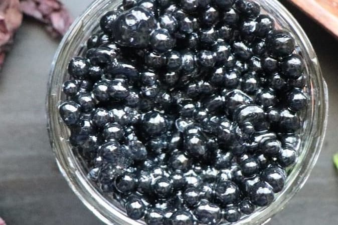Caviar vegan par le naturopathe pour un apéro végétal réussi